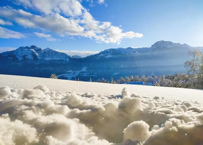 Hotel Presslauer Jenig